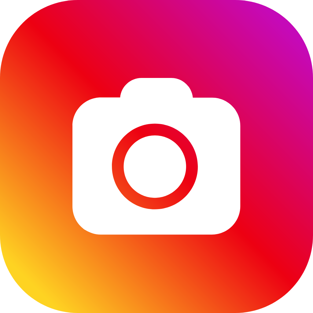 Instagram Website Button